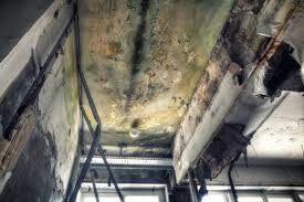 Best Comprehensive Air Testing for Mold Contaminants  in Blackwell, OK